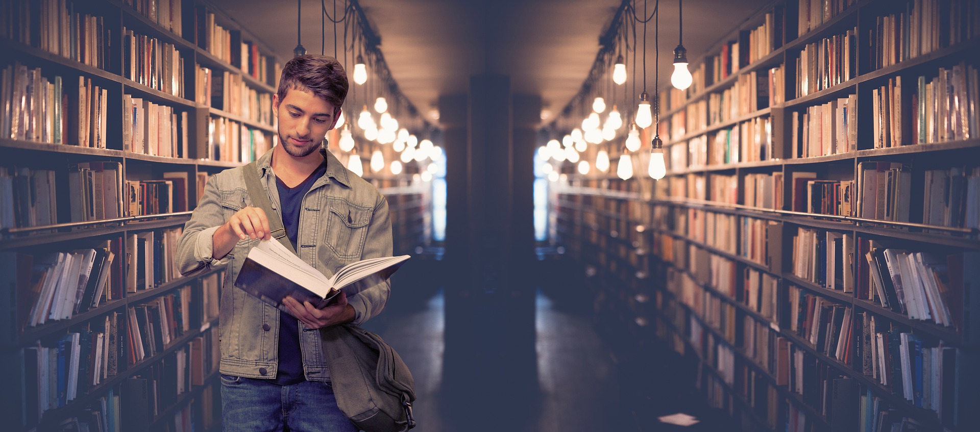 Diploma in Digital Marketing Specialist Co-op